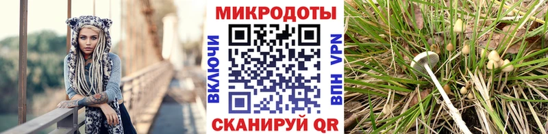 Псилоцибиновые грибы GOLDEN TEACHER Иркутск